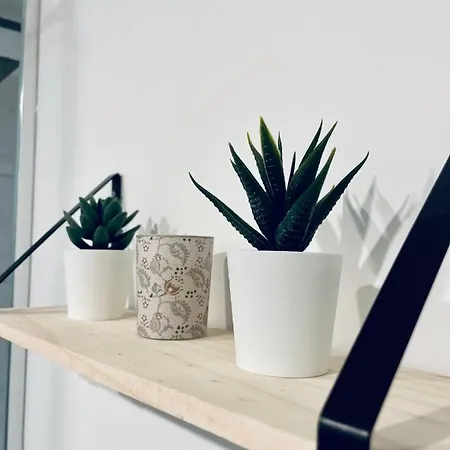 * Adelaide * Les Celestins * Vichy